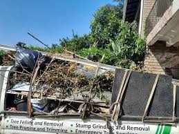 Best Commercial Junk Removal  in Edmore, MI