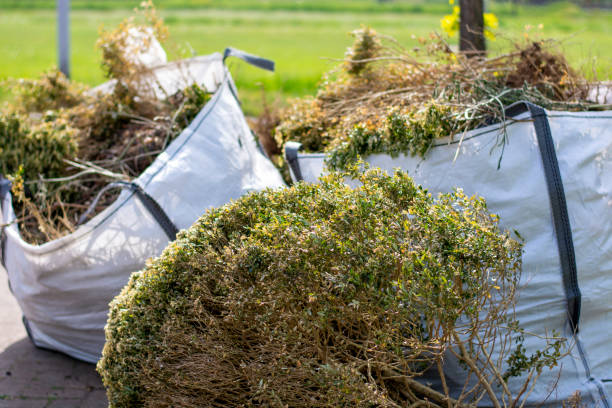 Best Retail Junk Removal  in Edmore, MI