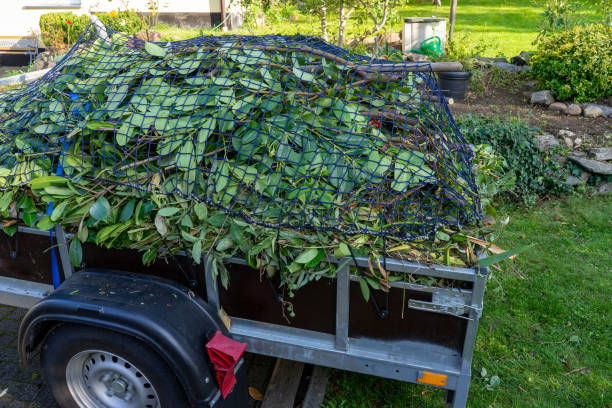 Best Mattress Disposal  in Edmore, MI